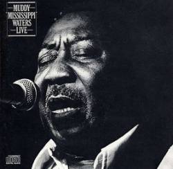 Muddy Waters : Muddy